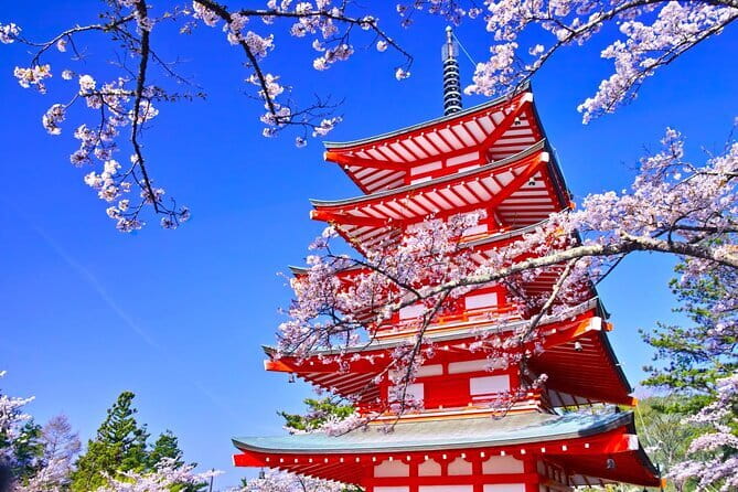 Mount Fuji Full Day Sightseeing Tour from Tokyo - The long ride from Tokyo