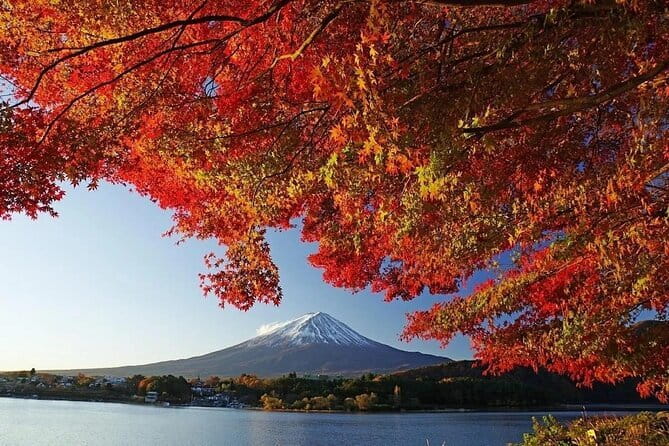 Mount Fuji Full Day Tour form Tokyo Lake Kawaguchi & Yamanaka - Arakura Fuji Sengen Shrine adds spiritual context