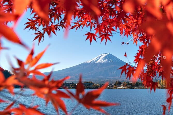 Mount Fuji Full Day Tour form Tokyo Lake Kawaguchi & Yamanaka - Shimoyoshida Honcho Street feels more everyday