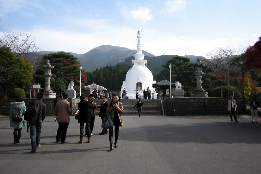 Mount Fuji: Full-Day Tour with Private Van - Language, communication, and the driver’s role