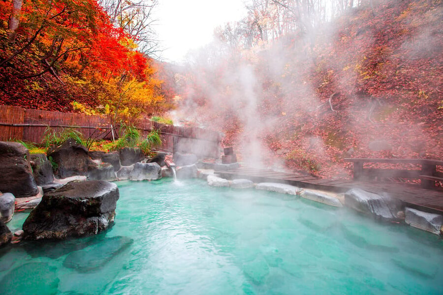 Mount Fuji - Hakone & Onsen Full Day Private Tour - Key points to know before booking
