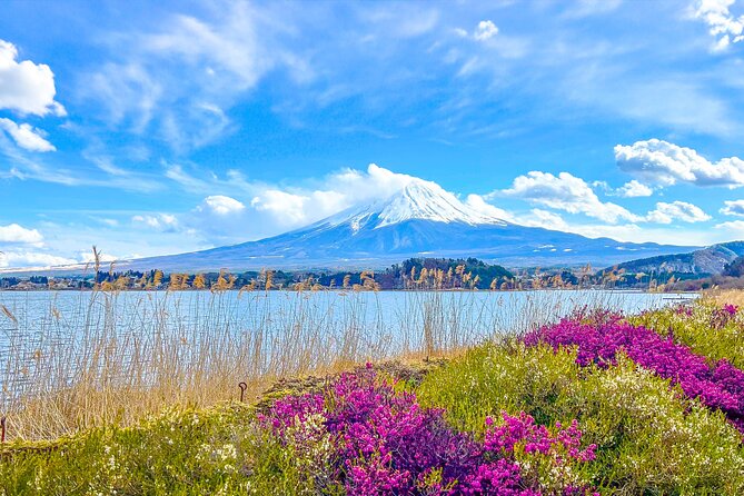 Mount Fuji, Kamakura, Big Buddha, & Lake Ashi Day Trip - Kamakura’s Great Buddha and the first photo stop