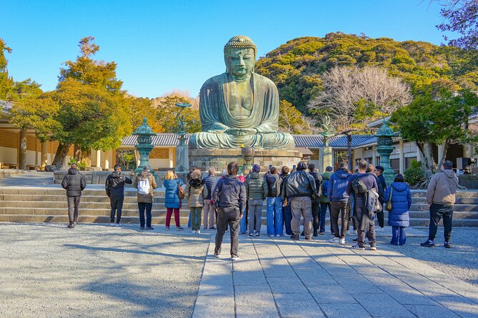Mount Fuji, Kamakura, Big Buddha, & Lake Ashi Day Trip - Who will get the most from this tour