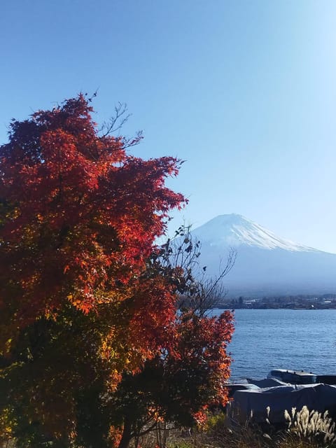 Mount Fuji-Lake Kawaguchi Private Tour with Bilingual Driver - What the $445 private price really buys you