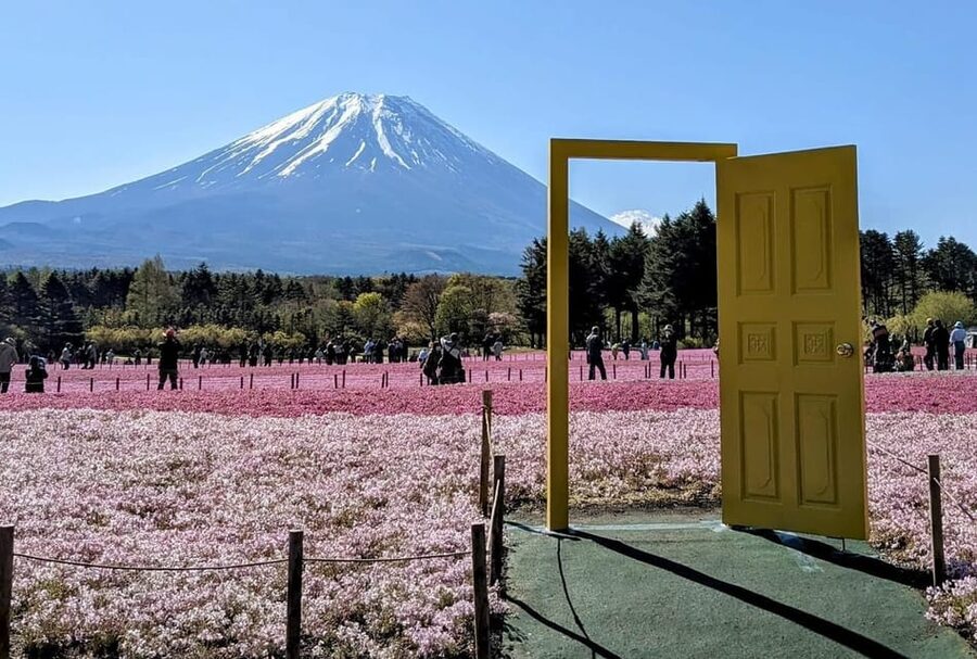 Mount Fuji,Lake Kawaguchiko Private Tour By Car With Pick Up - Lake Kawaguchiko and Oishi Park