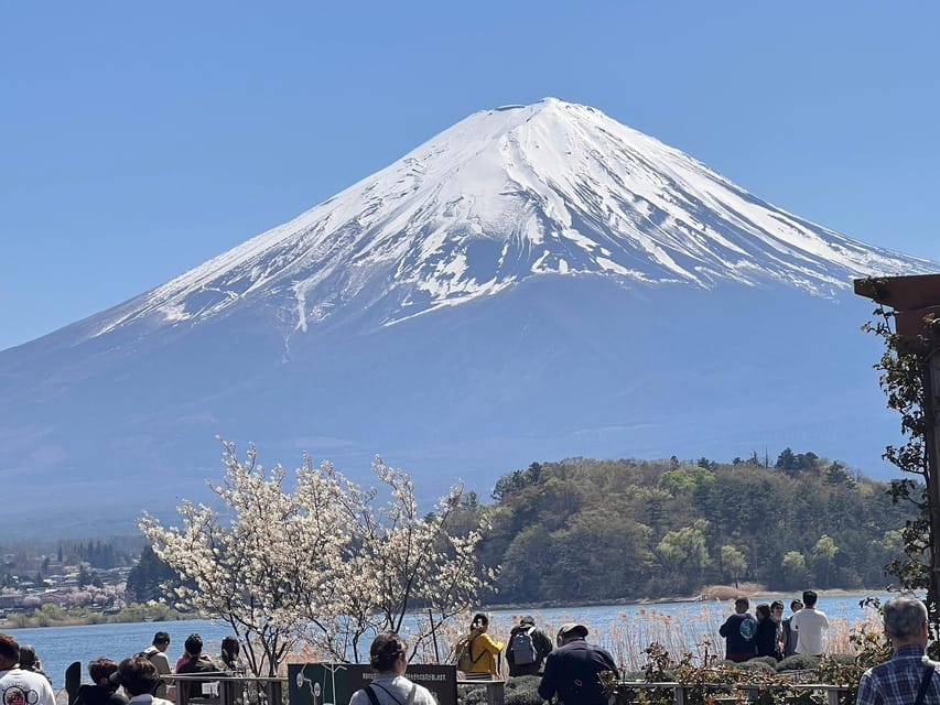 Mount Fuji,Lake Kawaguchiko Private Tour By Car With Pick Up - Kitaguchi-hongu Fuji Sengen Shrine