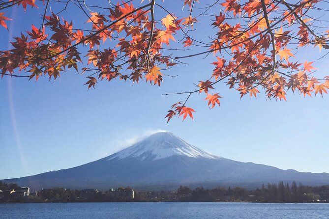 Mount Fuji (Mt. fuji) private tour by car with pickup from Tokyo - Chureito Pagoda and the price of the famous view