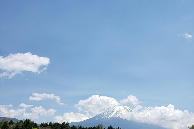 Mount Fuji (Mt. fuji) private tour by car with pickup from Tokyo - The 5th Station, caves, and the volcanic side of Fuji