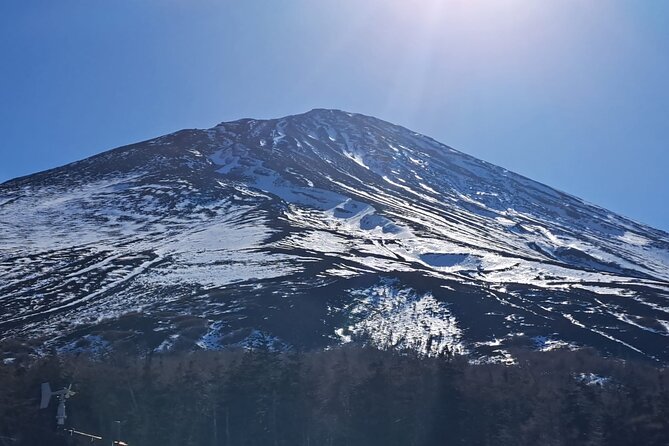 Mount Fuji (Mt. fuji) private tour by car with pickup from Tokyo - Smaller optional stops with very different personalities