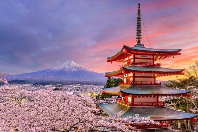 Mount Fuji (Mt. fuji) private tour by car with pickup from Tokyo - Oshino Hakkai: clear spring water and village scenery