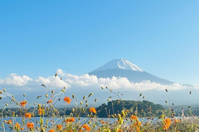 Mount Fuji One Day Private Customizable Tour With English Driver - Why a private day around Mount Fuji makes sense