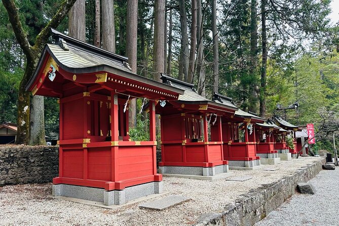 Mount Fuji One Day Private Customizable Tour With English Driver - Chureito Pagoda and the famous Fuji picture