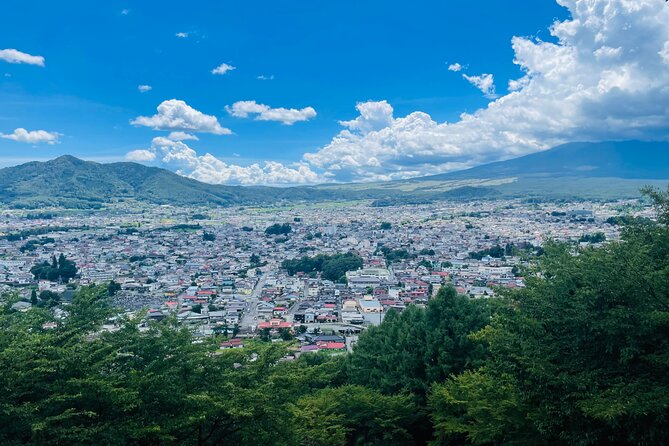 Mount Fuji One Day Private Customizable Tour With English Driver - Kitaguchi Hongu Fuji Sengen Shrine
