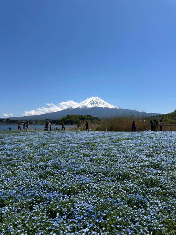 Mount Fuji One Day Private Tour With English Speaking Driver - Oishi Park for a full lake and mountain view