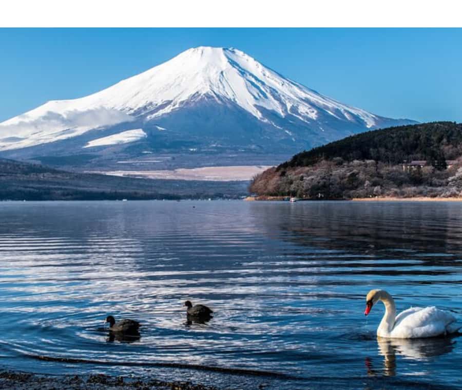 Mount Fuji Private Day Tour customized with English driver - Why a private Mount Fuji day makes sense