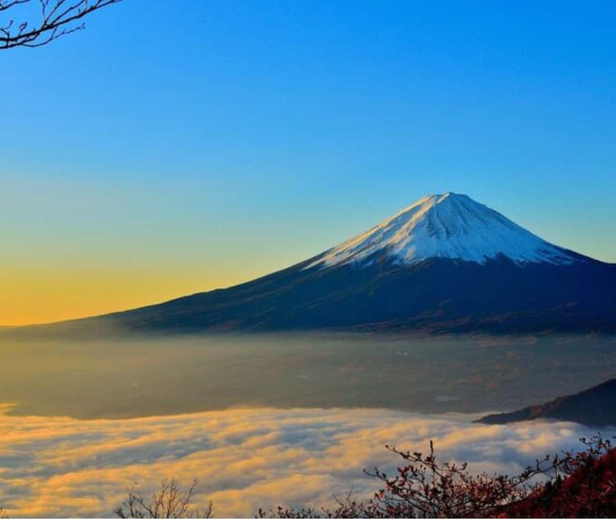 Mount Fuji Private Day Tour customized with English driver - Mt. Fuji 5th Station: high views, changing conditions