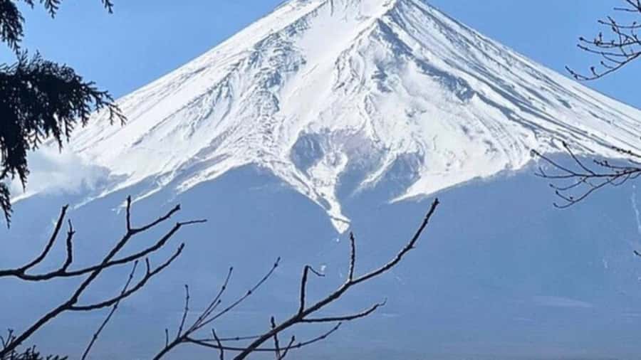 Mount Fuji Private Day Tour customized with English driver - Gotemba Premium Outlets changes the pace