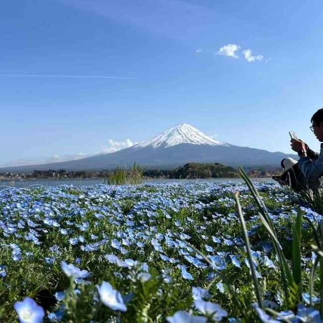 Mount Fuji Private day tour from Tokyo private & Customized - Key points to know before booking