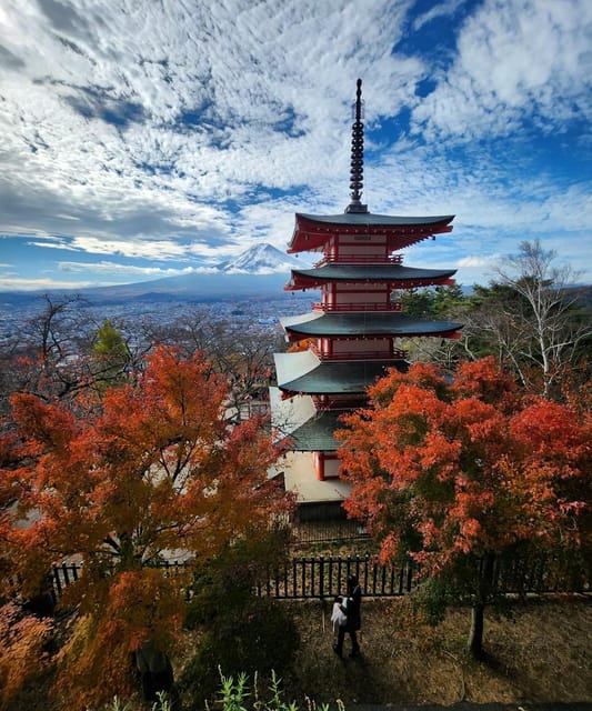 Mount Fuji Private day tour from Tokyo private & Customized - Why a private Fuji day is useful