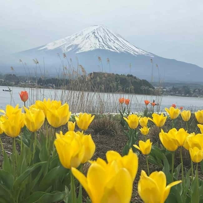 Mount Fuji Private day tour from Tokyo private & Customized - Lake Kawaguchi, Kachi Kachi Ropeway, and Oishi Park