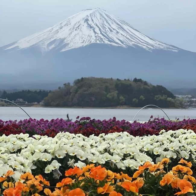 Mount Fuji Private day tour from Tokyo private & Customized - The Mount Fuji 5th Station choice
