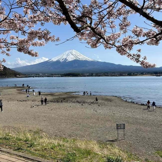 Mount Fuji Private day tour from Tokyo private & Customized - Chureito Pagoda and the famous Fuji photograph