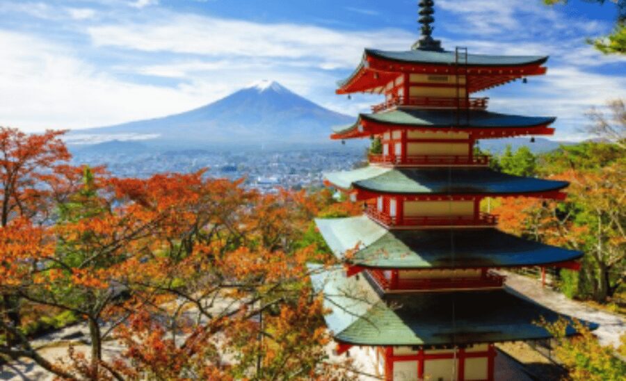 Mount Fuji Sightseeing tour with English speaking guide - Key points to know before booking