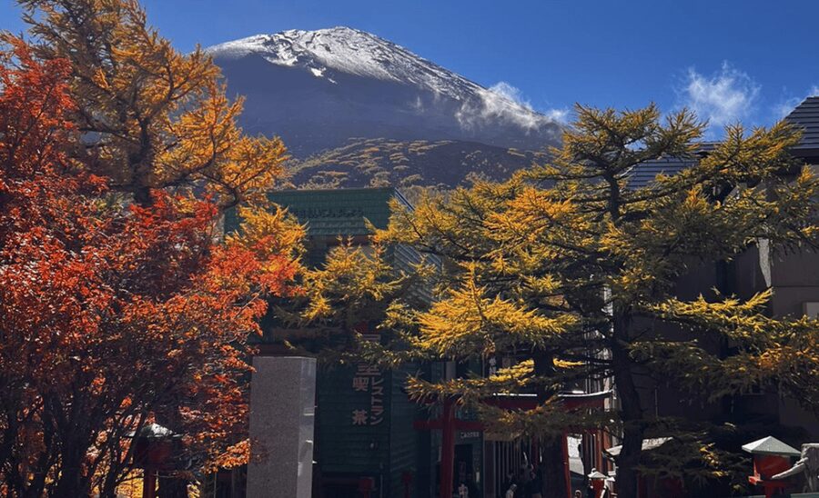 Mount Fuji Sightseeing tour with English speaking guide - Lake Kawaguchiko and the Kachi Kachi Ropeway