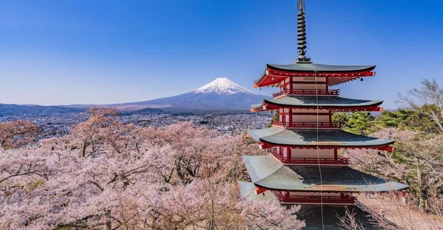 Mount Fuji Trip with English speaking guide ( customizable) - Key points to know before booking