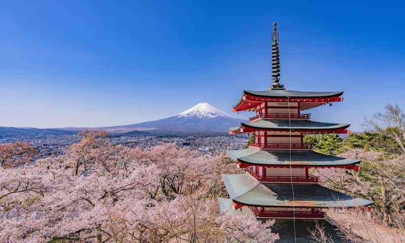 Mount Fuji Trip with English speaking guide ( customizable) - A private road trip, not a fixed coach tour
