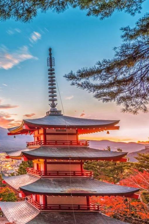 Mount Fuji Trip with English speaking guide ( customizable) - Choosing Hakone instead of more Fuji stops