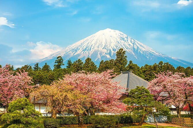 Mt Fuji 5th Station/Arakurayama Sengen Park & Oshino Hakkai Tour - Mt. Fuji 5th Station from April through November
