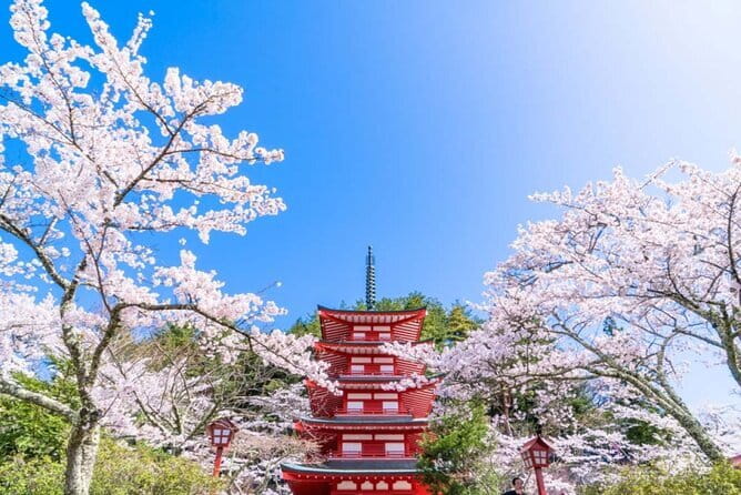 Mt Fuji 5th Station/Arakurayama Sengen Park & Oshino Hakkai Tour - Oshino Hakkai and the taste of mountain water