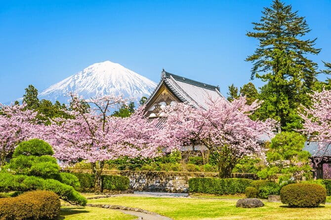 Mt Fuji 5th Station/Arakurayama Sengen Park & Oshino Hakkai Tour - Gotemba shopping or a Japanese hot spring