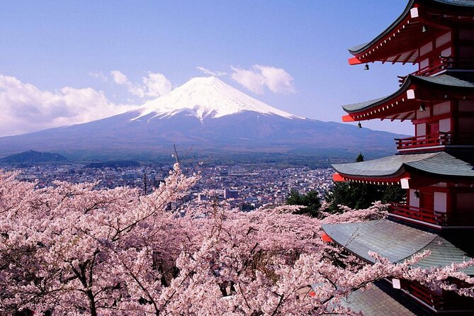 Mt. Fuji 5th Station, Oshino Hakkai and Hot Spring Day Trip - Mt. Fuji 5th Station at 2,305 meters