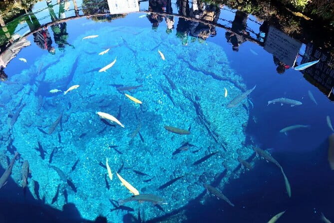 Mt. Fuji 5th Station Oshino Hakkai & Gotemba, Hot Spring Day Tour - Arakurayama Sengen Park from December 1 to April 25