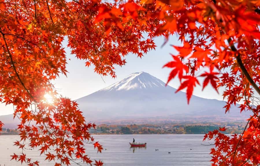 Mt. Fuji 6 Attractions Tour: Lake Kawaguchi, Oshino Hakkai - Why this $50 Mt. Fuji day trip works