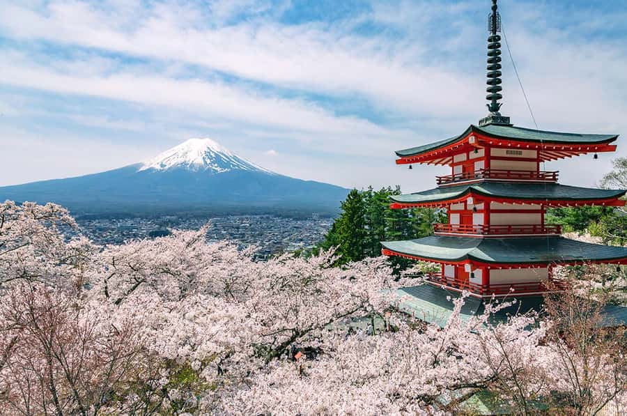 Mt. Fuji 6 Attractions Tour: Lake Kawaguchi, Oshino Hakkai - Oshino Hakkai and the eight clear springs