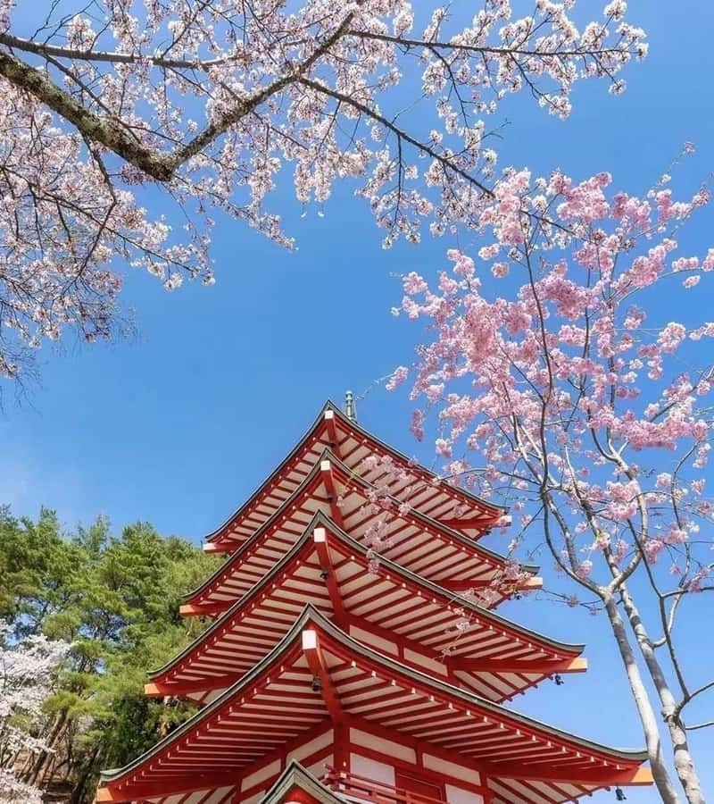 Mt. Fuji 6 Attractions Tour: Lake Kawaguchi, Oshino Hakkai - Lake Kawaguchi and Oishi Park