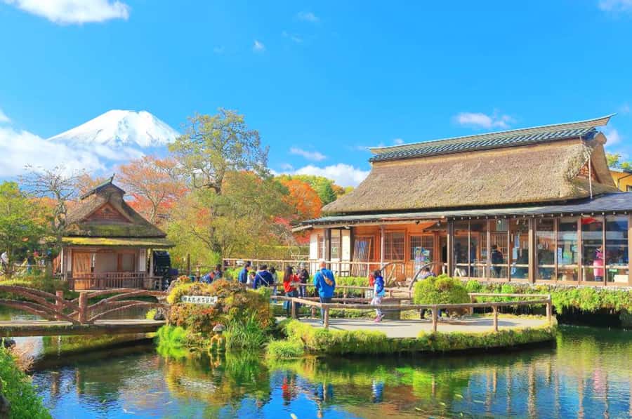 Mt. Fuji 6 Attractions Tour: Lake Kawaguchi, Oshino Hakkai - The Lawson viewpoint and a modern Japan moment