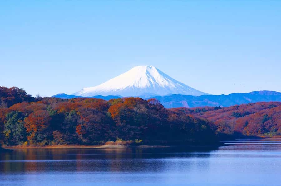 Mt. Fuji 6 Attractions Tour: Lake Kawaguchi, Oshino Hakkai - Who will get the most from this tour