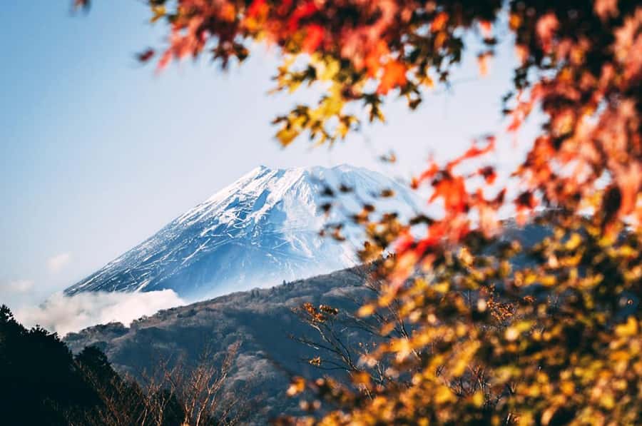 Mt. Fuji 6 Attractions Tour: Lake Kawaguchi, Oshino Hakkai - From Tokyo to the Path of Faith