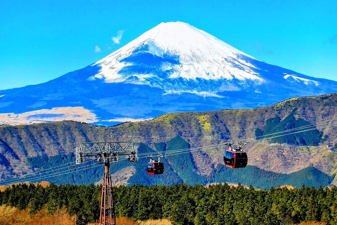 Mt Fuji and Hakone 1-Day Bus Tour Return by Bus - The return: Shinjuku or Odawara