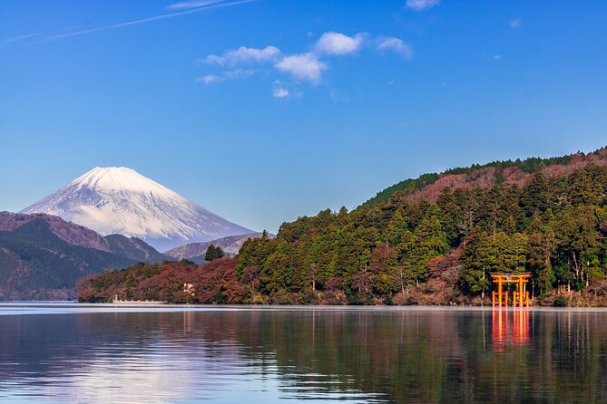 Mt. Fuji and Hakone Day Trip From Tokyo with Bullet Train Option - Coach return or bullet train from Odawara