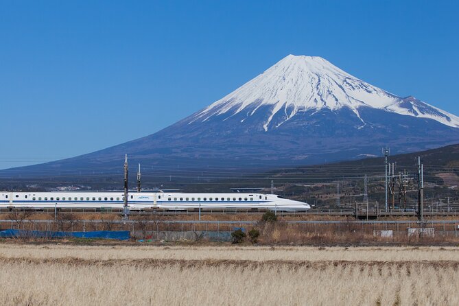 Mt. Fuji and Hakone Day Trip From Tokyo with Bullet Train Option - Mt. Fuji’s 5th Station and the view you came for
