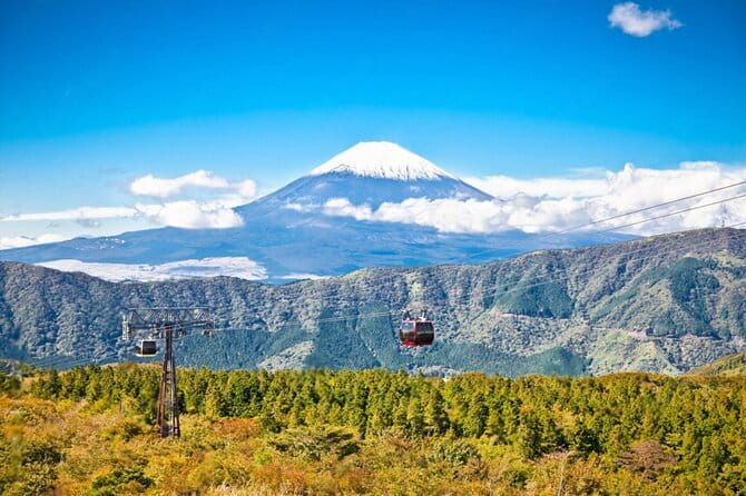 Mt Fuji and Hakone Private Day Tour - The real choice: Fuji views or Hakone variety