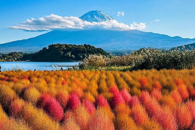 Mt Fuji and Hakone Private Day Tour with English Speaking Driver - Lake Ashi and the optional cruise