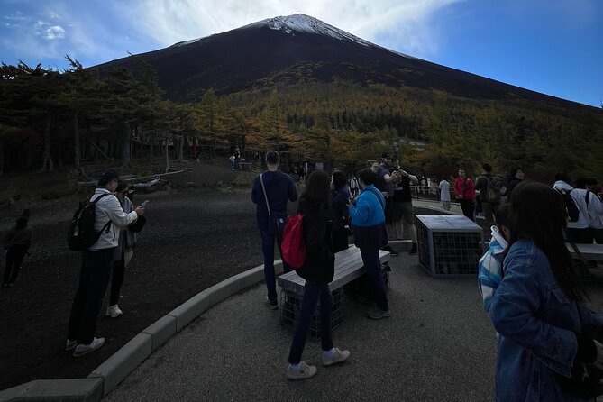 Mt.Fuji and Hakone Private SightSeeing Day Tour With Guide - Oshino Hakkai and its eight snow-fed ponds
