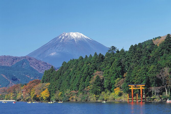 Mt.Fuji and Hakone Private SightSeeing Day Tour With Guide - Hakone Ropeway over Owakudani Valley
