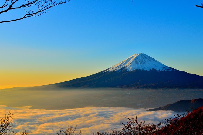 Mt. Fuji and Hakone Private Sightseeing from Tokyo “ENGLISH” - Arakura Fuji Sengen Shrine and the famous pagoda view